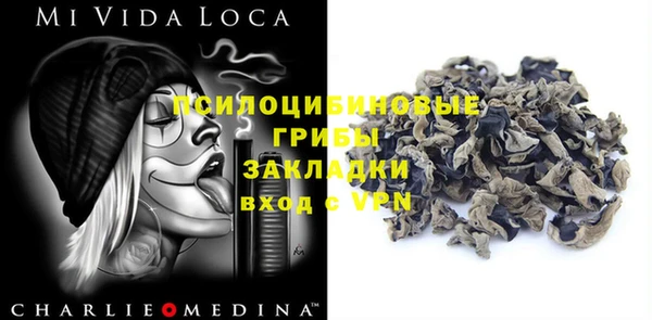 крисы Гусиноозёрск