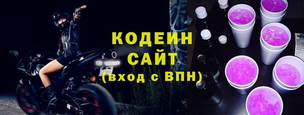 амф Гусев