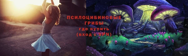 скорость Дмитриев