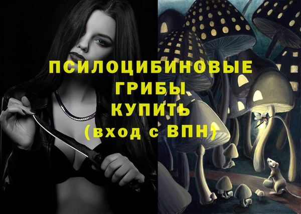 молекула духа Дмитровск