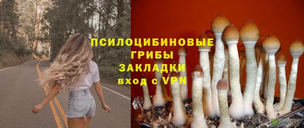 скорость Дмитриев