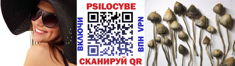 Галлюциногенные грибы ЛСД  Купить где  Никольское 
